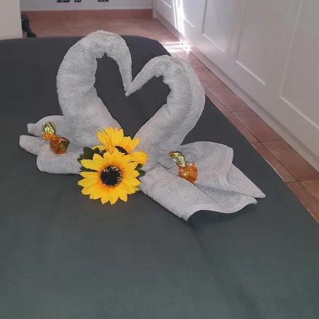 Apartamento Carmen Morro Jable (Fuerteventura)